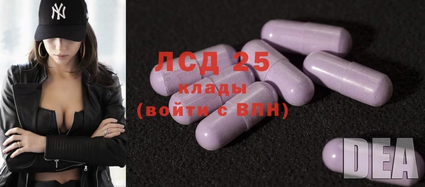 трава Корсаков