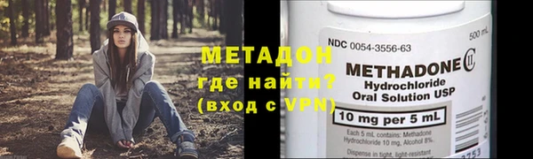 трава Корсаков