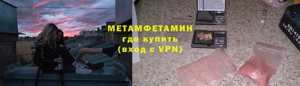 трава Корсаков