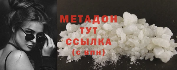 трава Корсаков