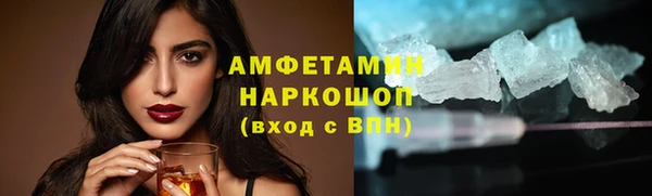 трава Корсаков