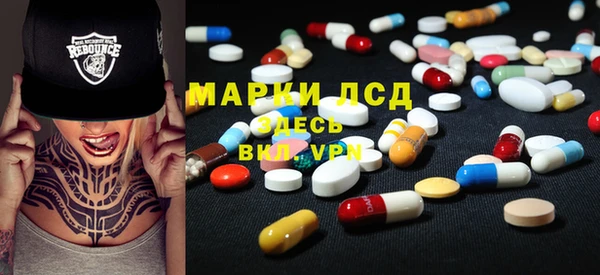 трава Корсаков