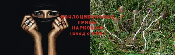 jwh Коряжма