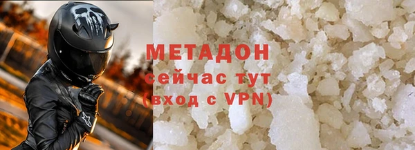 трава Корсаков