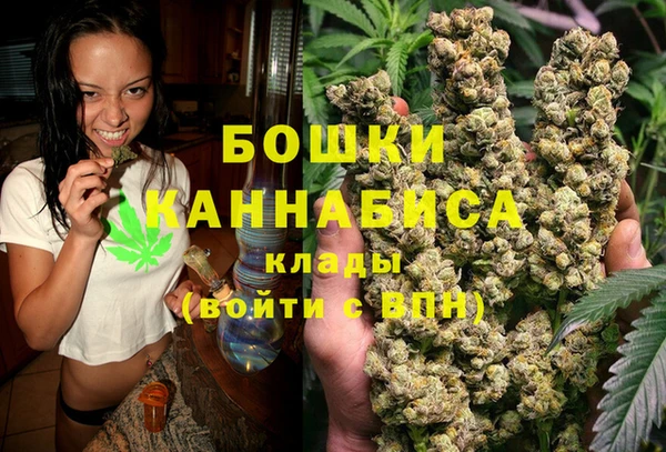 трава Корсаков