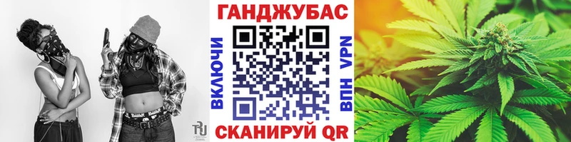 Купить закладки  Чернушка  Каннабис планчик 